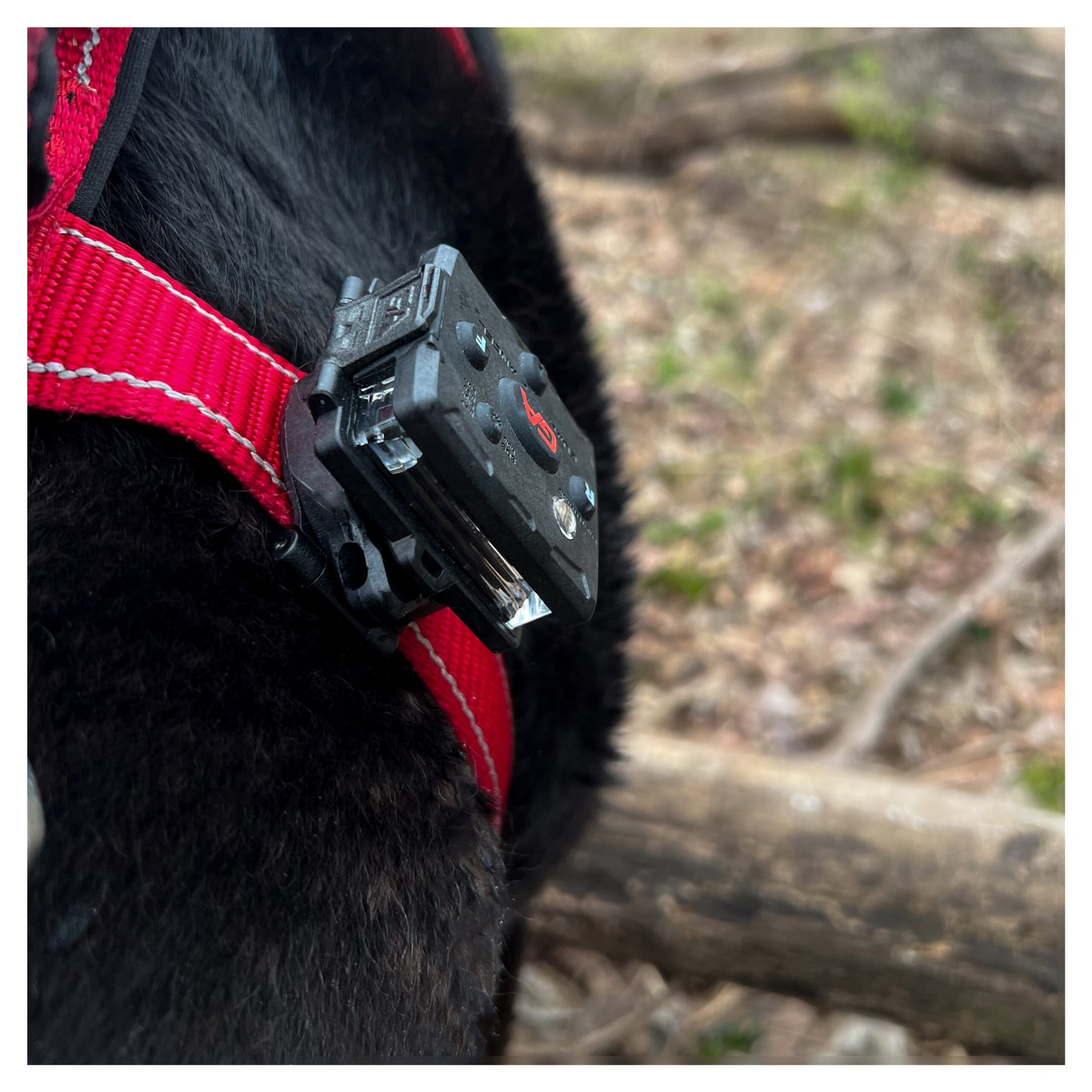 Snap-Lock Mount (Dog/K9 Safety)