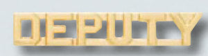 1/4" Gold DEPUTY Collar Device